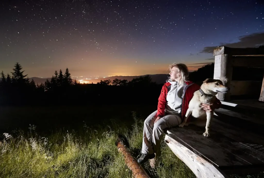 A person in a red jacket sits with a dog on a wooden bench under a starry night sky, overlooking city lights in the distance.