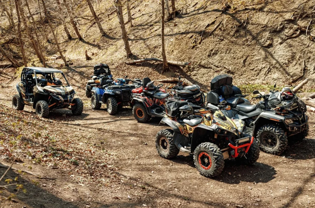 Five ATVs and a side-by-side vehicle parked in a wooded area with dry leaves and trees.